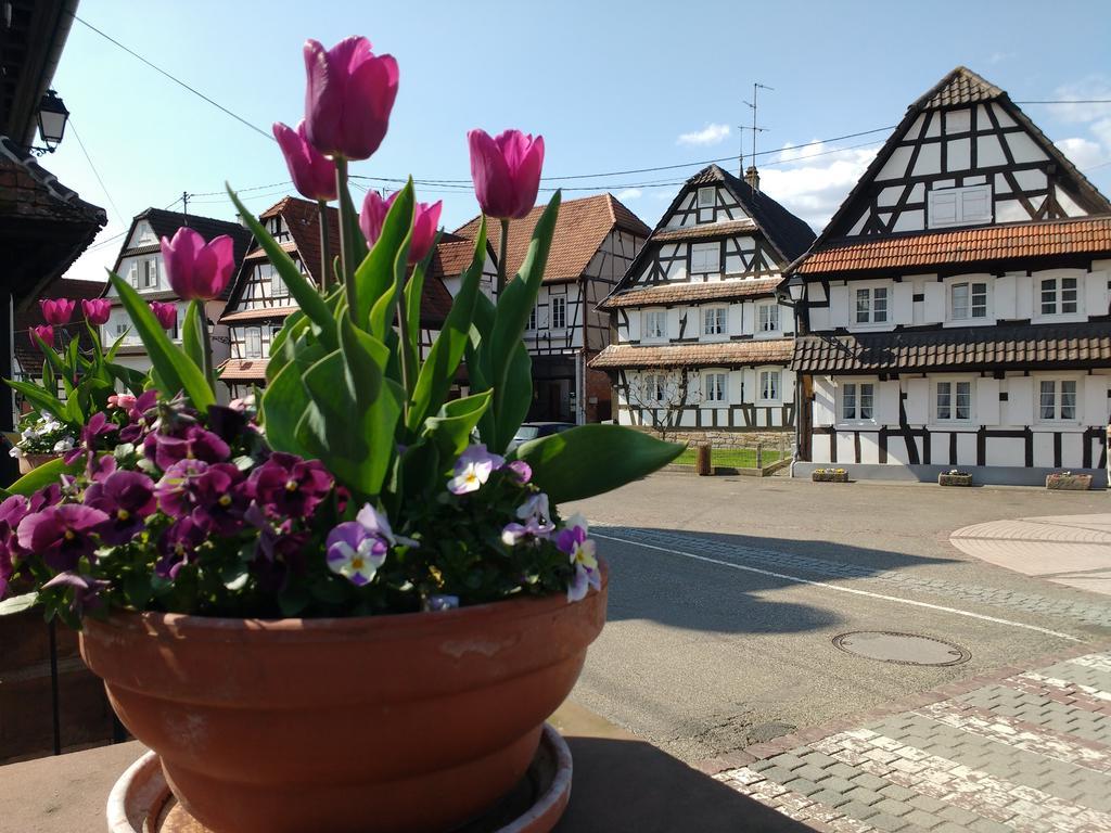 Gite Rue De L'Ange Hunspach Exteriör bild